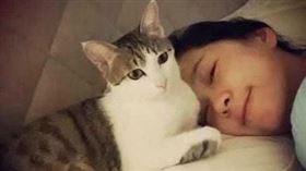 女星六月遭爆棄養貓咪。（圖/臉書）