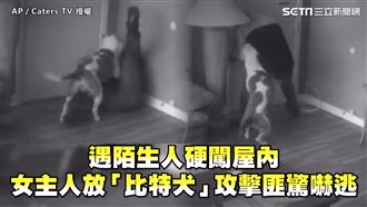 陌生人硬闖屋內　女主人放比特犬攻擊