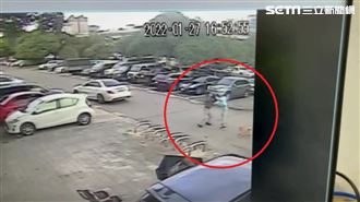 帶柴柴放風險遭撞　飼主與駕駛互毆