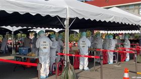 新冠肺炎,高雄市,Omicron,碼頭群聚,春節篩檢,春節接種