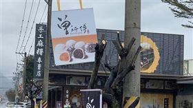 花蓮路樹被「曾師傅」砍光