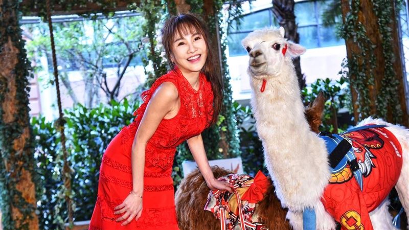 財富女神發百萬紅包想替「愛子」徵婚