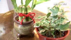 N過年五快丟1800