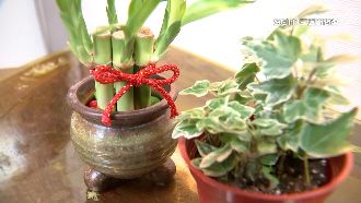 新年除舊布新　忌諱、開運妙招一次看