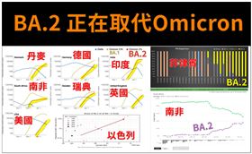 萬芳醫院精神科醫師潘建志表示，BA.2正在取代Omicron變種。（圖／翻攝自BillyPan 潘建志醫師粉專）
