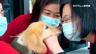 雙「米魯」拜年！總統官邸齊聚萌破表