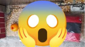 家門口被放怪物（圖／翻攝自爆料公社）