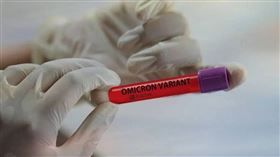 英國研究指出，BA 2.0很可能擊敗Omicron ，成為全球主要流行病毒株。（圖／Pixabay）