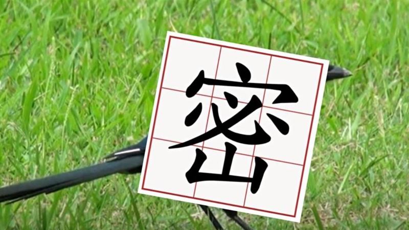 初五開門見「財鳥」？南港刮出1百萬