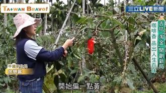 中國新住民　用「咖啡」翻轉人生