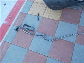 ▲台北市一哈士奇掙脫牽繩從機車上跳下來，在車來車往的大馬路上狂奔，最後慘被輾死，還害機車騎士摔車受傷。（圖／翻攝畫面）