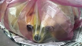 塑膠袋裡有吉娃娃，真相竟是香蕉。（圖／翻攝爆廢公社二館）
