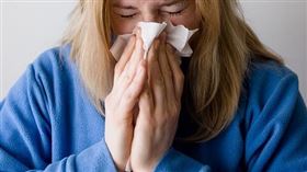 鼻子，噴嚏，感冒，流鼻水，鼻涕（示意圖／翻攝自Pixabay）