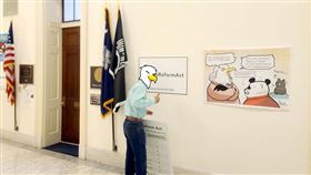 美國,議員,梅絲,漫畫,國會山莊 (圖/翻攝自蠢羊與奇怪生物臉書)