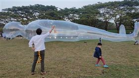 高雄燈會,雙主場,衛武營,空氣人,躺平族