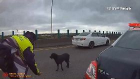 L狗高架遊蕩0700