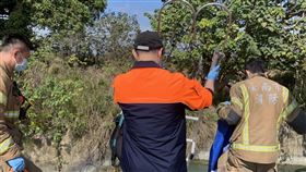 台南,溺水,嘉南大圳,農地,陳屍,失蹤