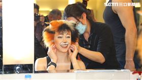 音樂劇 貓 百老匯 記者楊澍攝影