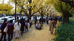 銀杏紅楓正美 疫情擋不住日本人遊賞決心日本武漢肺炎疫情擴大，政府正為是否暫停振興國旅方案Go To Travel（去旅行）傷神，但23日是3天連假最後一天，東京明治神宮外苑銀杏樹下人山人海，民眾似乎把疫情拋諸腦後。中央社記者楊明珠東京攝 109年11月23日