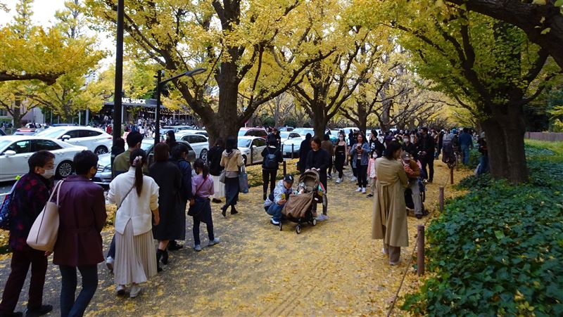 明治神宮擬砍9百棵樹　國際組織勸停