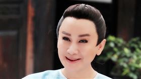 陳亞蘭,。（欣湉國際提供