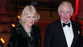 （圖／翻攝自IG@clarencehouse）英國,查爾斯,王子
