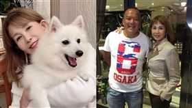 周丹薇/明金成/常楓/臉書