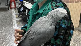 走失,寵物,鼓山分局