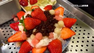 獨／今天元宵節！專家：三生肖將前兔似錦