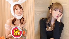 林莎兔女郎（圖／翻攝自林莎IG）