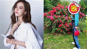 蔡依林（圖／翻攝自蔡依林IG）