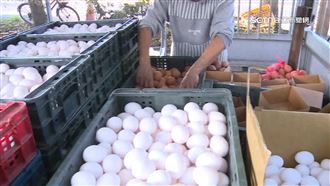 陳吉仲：雞蛋批發價沒有天花板