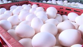 雞蛋每台斤漲2元! 陳吉仲:用
