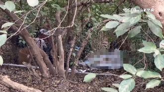 登山驚見白骨　警方靠車鑰匙知身分