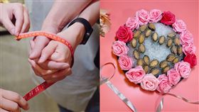 鮑魚。（圖／業者提供）