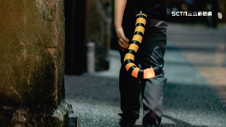 燈會「虎尾燈」爆紅！網飆逾2倍轉賣