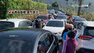 八重櫻滿開！嘉義彌陀禪寺現交通亂象