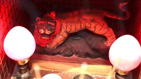 男想改運偷虎爺，結果運沒改成腳更加腫痛，只好投案。（圖／翻攝畫面）