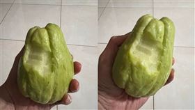 佛手瓜（圖／翻攝自爆廢公社）