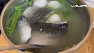 被確診父子光臨　魚皮湯店業績摔7成