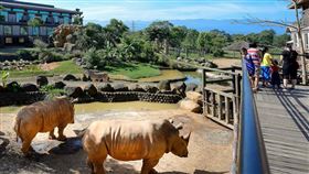 加碼屬虎限定優惠，邀請虎友同行，每房再招待至多2位生肖屬虎免費加人加價入住。(圖／六福旅遊集團提供)