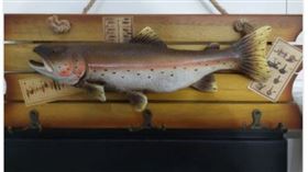 爆料公社,魚(圖/翻攝畫面)
