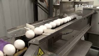 全台鬧蛋荒！農委會：已向美日澳下訂