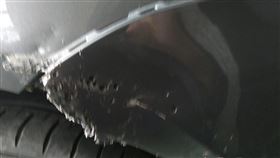 葉子板,新竹,黑狗,咬（圖／翻攝畫面）