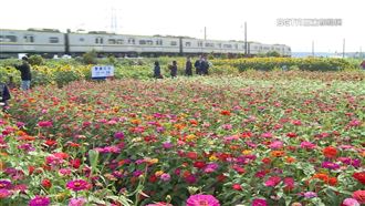 火車呼嘯而過　襯漸層花田如同田園畫