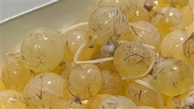 鹽水人曬魚界威而鋼　網竟全喊沒見過（圖／翻攝自爆廢公社公開版臉書）