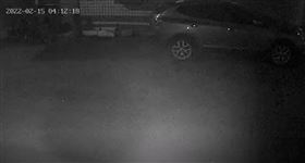 吹狗螺（圖／民眾提供）