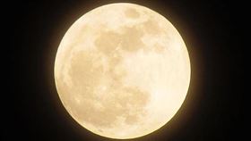 吳美玲老師提供＋翻攝自pixabay＋攝影師Ted陳泰瑋提供