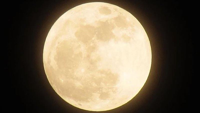 今天補財庫最好　她曝今年元宵節真相