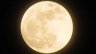 今天補財庫最好　她曝今年元宵節真相